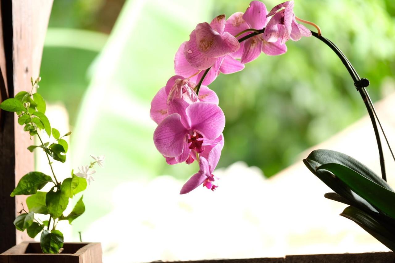 Bumbung Sari Villa อูบุด ภายนอก รูปภาพ