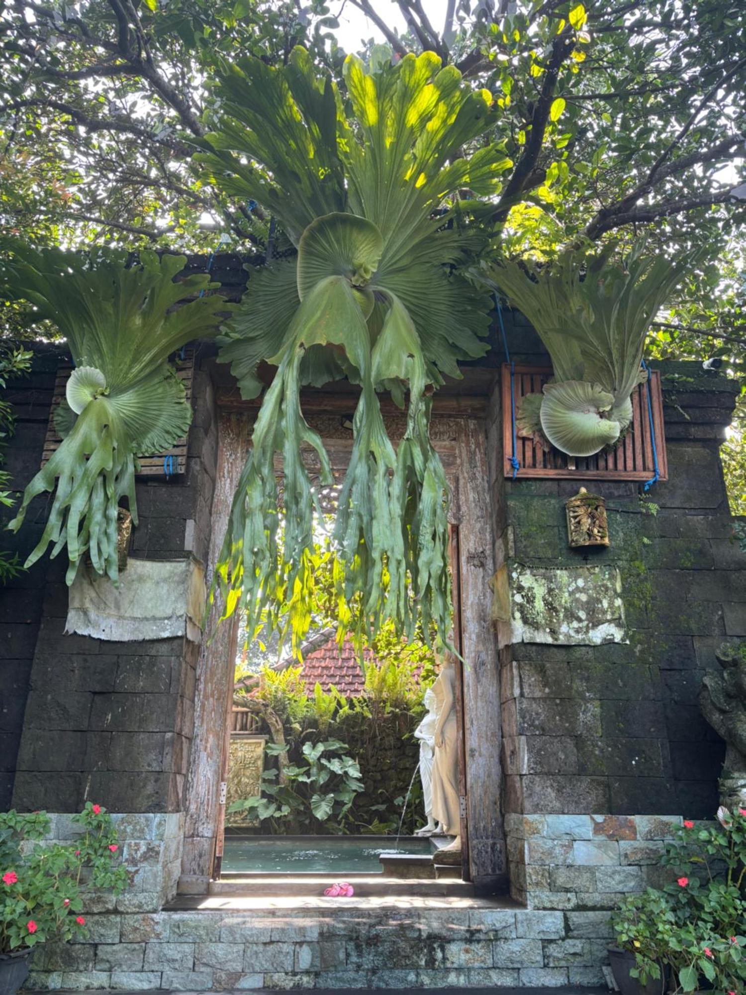 Bumbung Sari Villa อูบุด ภายนอก รูปภาพ